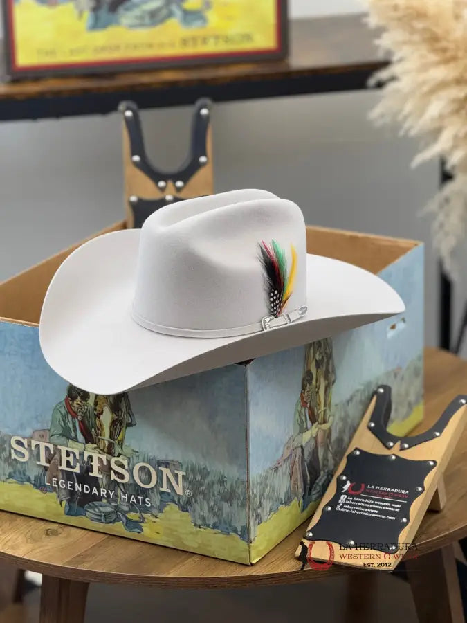 Stetson 6X Silver Grey Skyline Tradicional Tejana