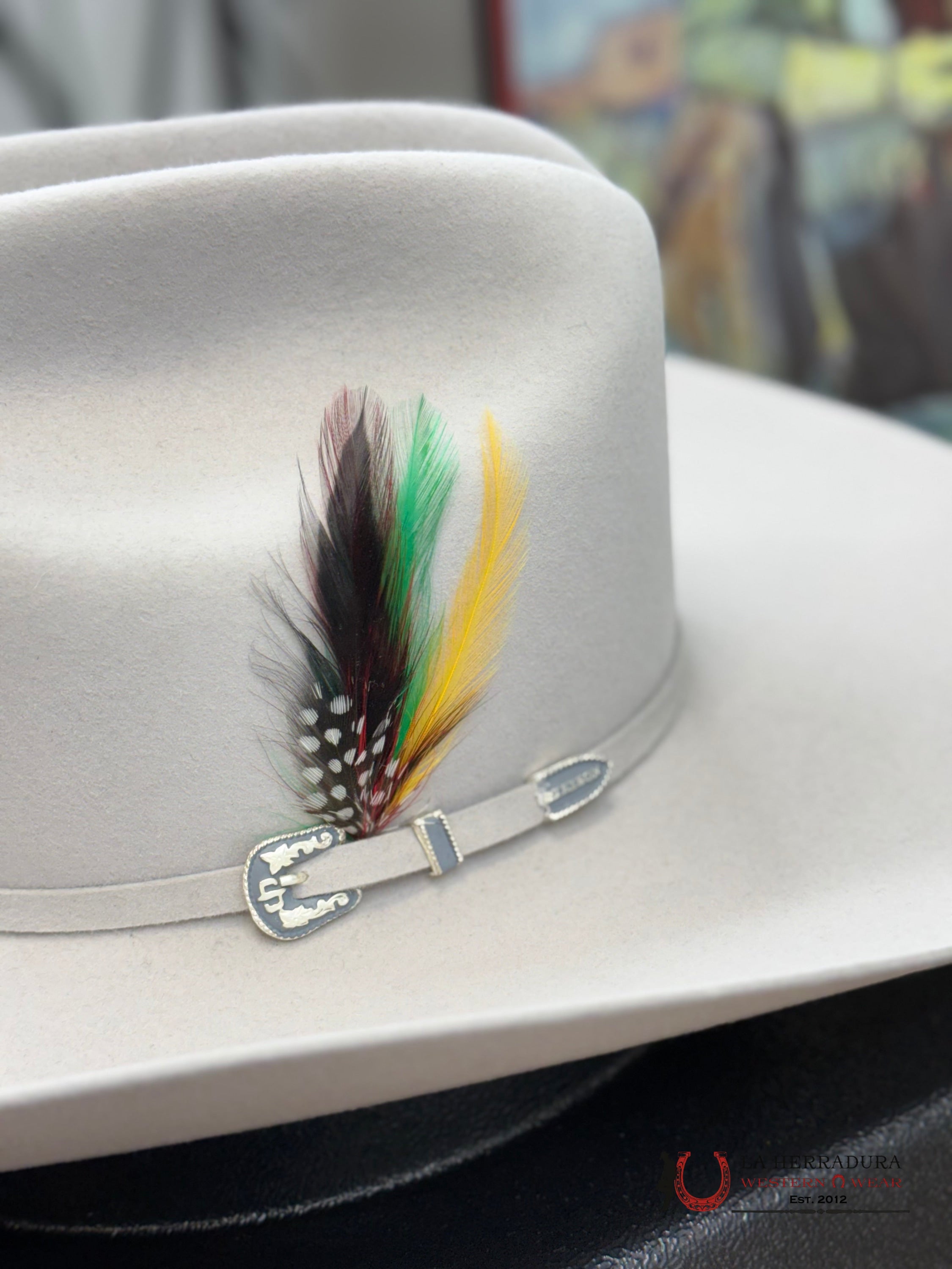 Stetson 6X Silver Grey Skyline Tradicional Tejana