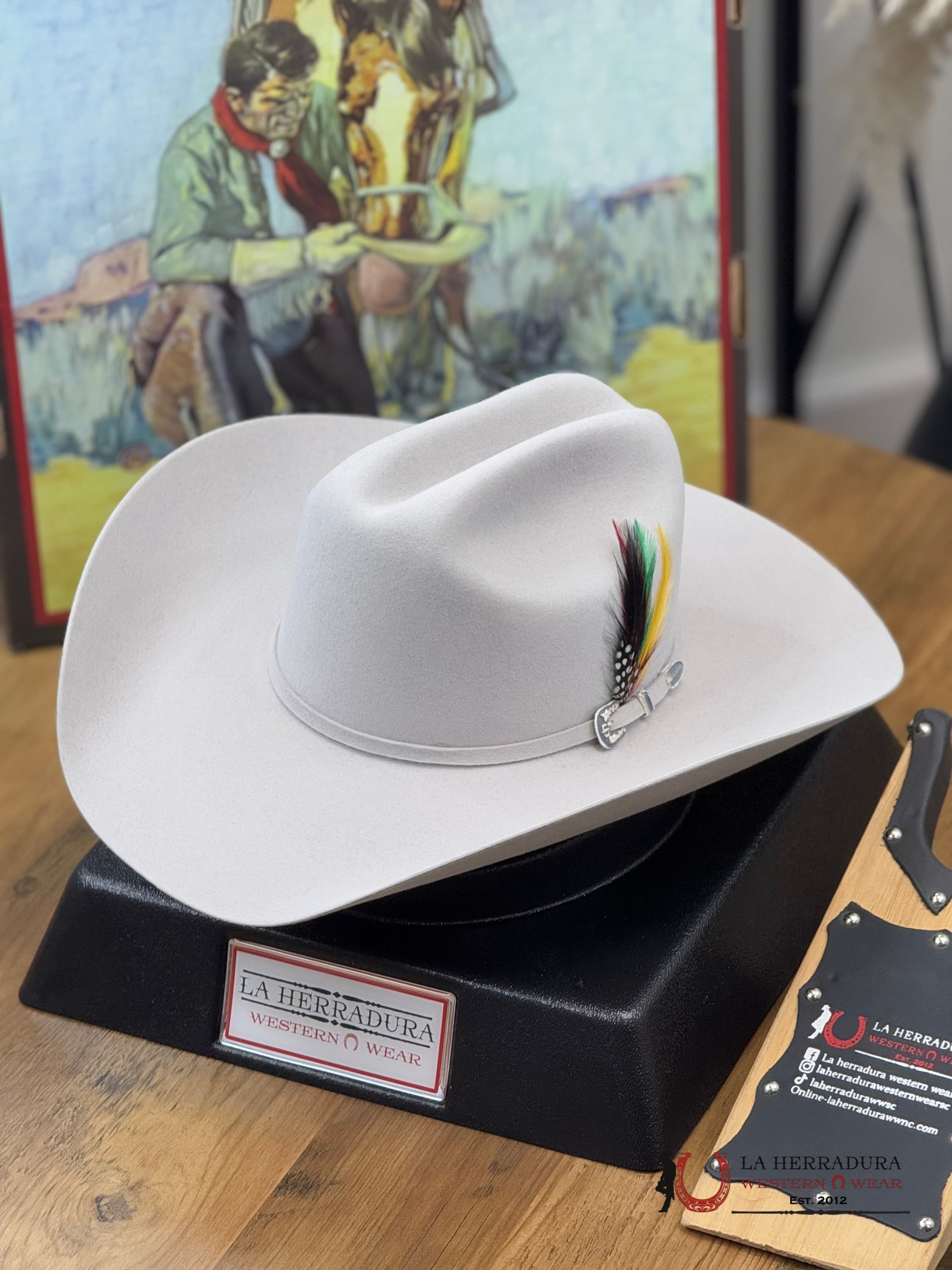 Stetson 6X Silver Grey Skyline Tradicional Tejana