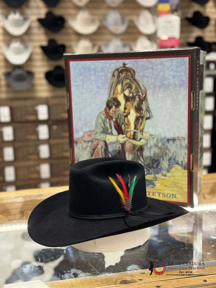 STETSON GUADALUPANA 6X NEGRO