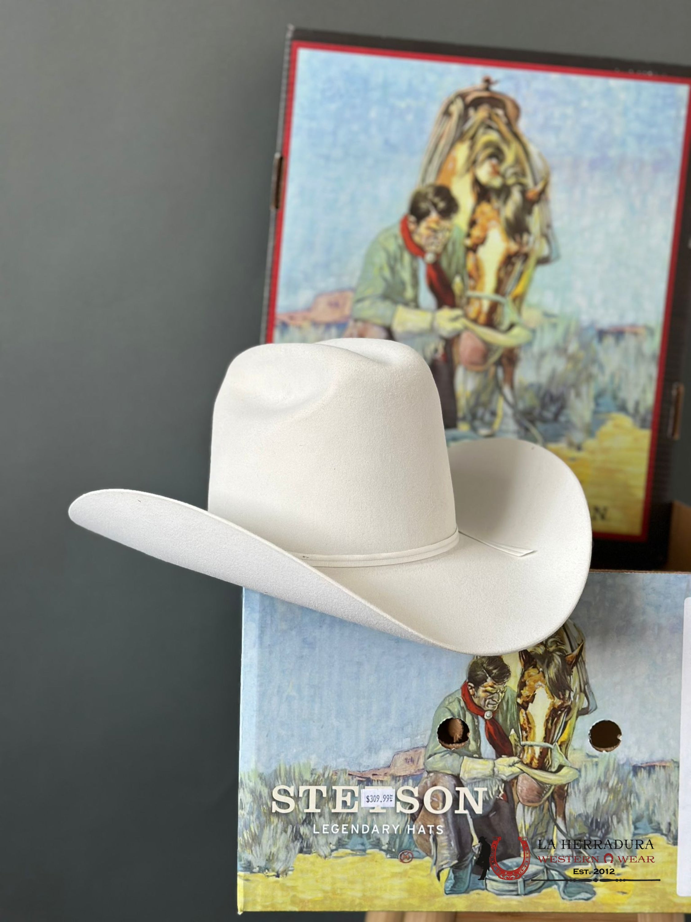 Stetson Rancher 6X White Tejana