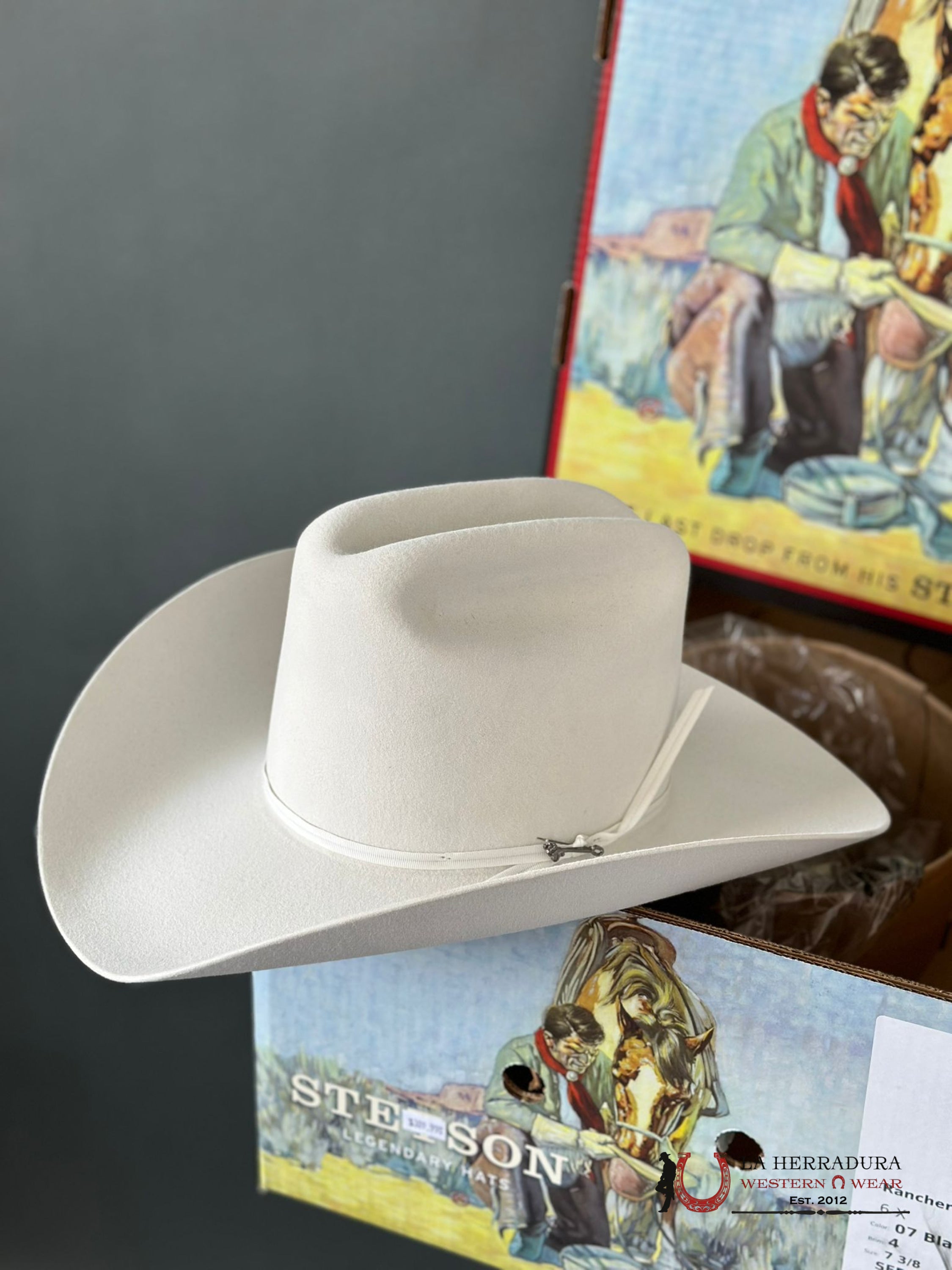 Stetson Rancher 6X White Tejana
