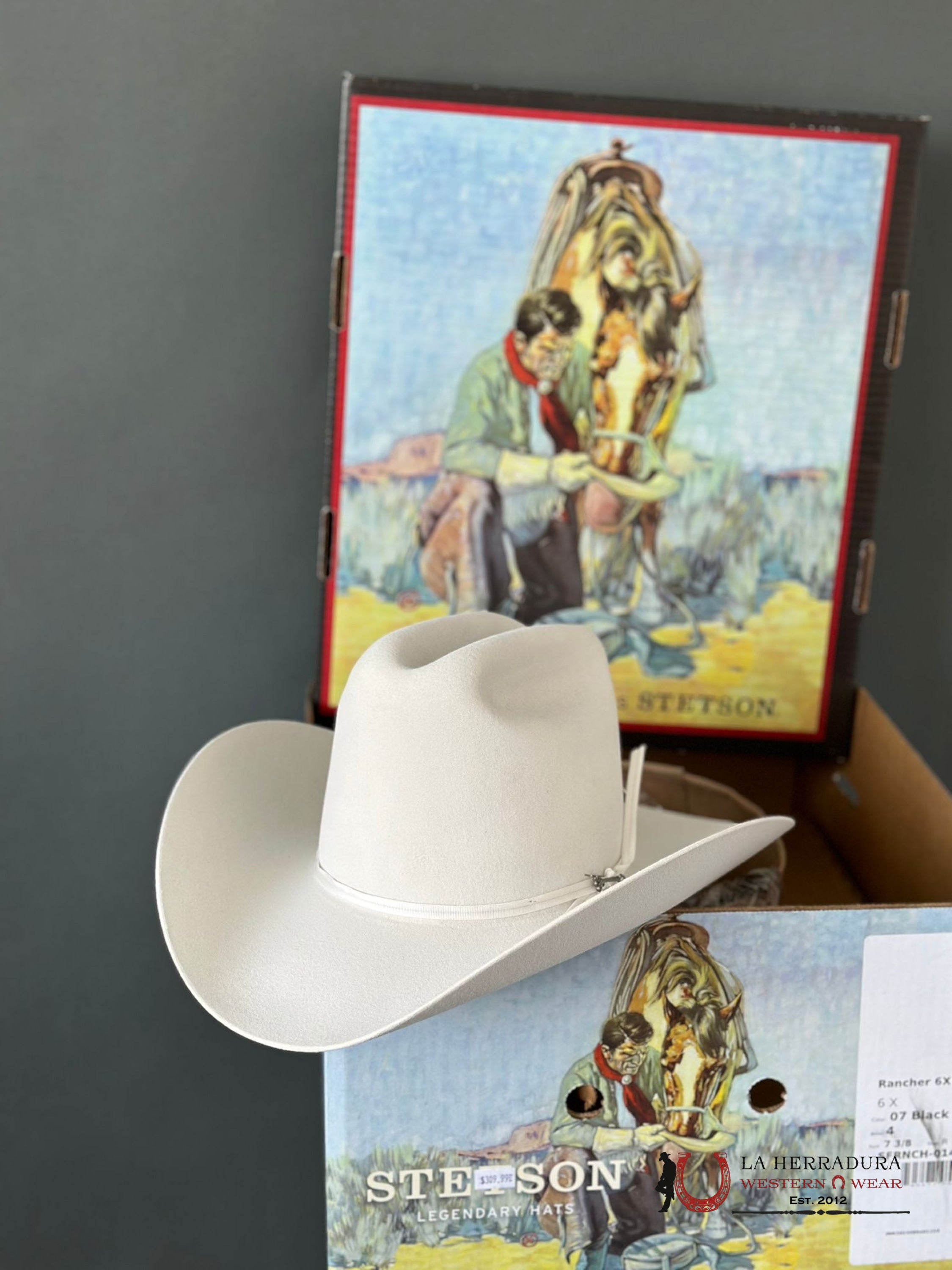 Stetson Rancher 6X White Tejana