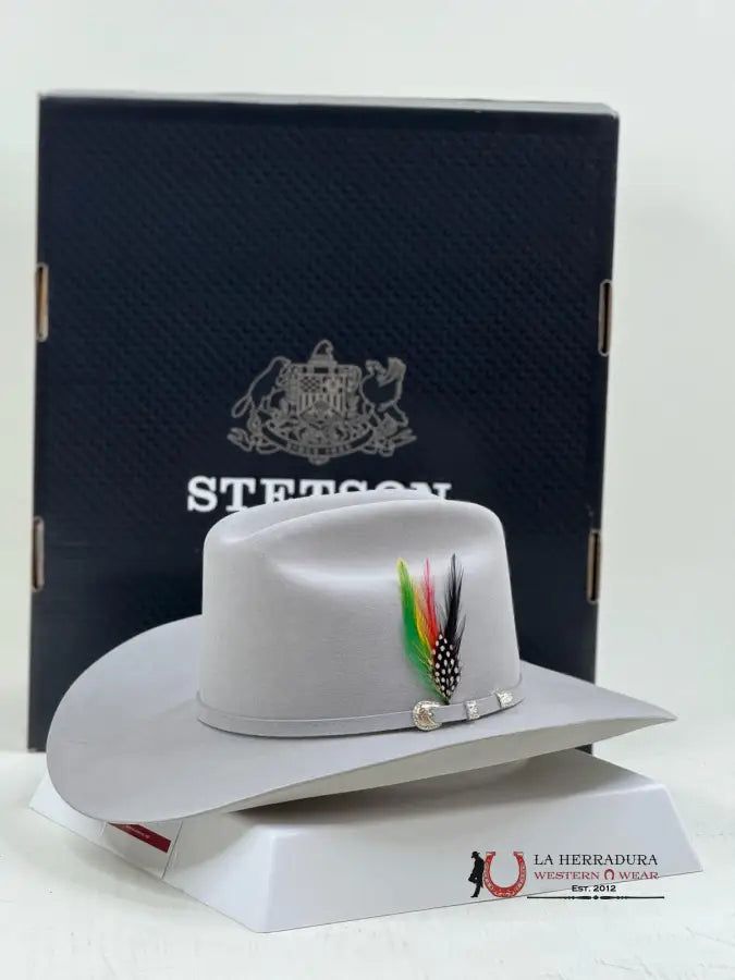 Stetson Cowboy Hat Shasta 10X Mist Grey Tejana