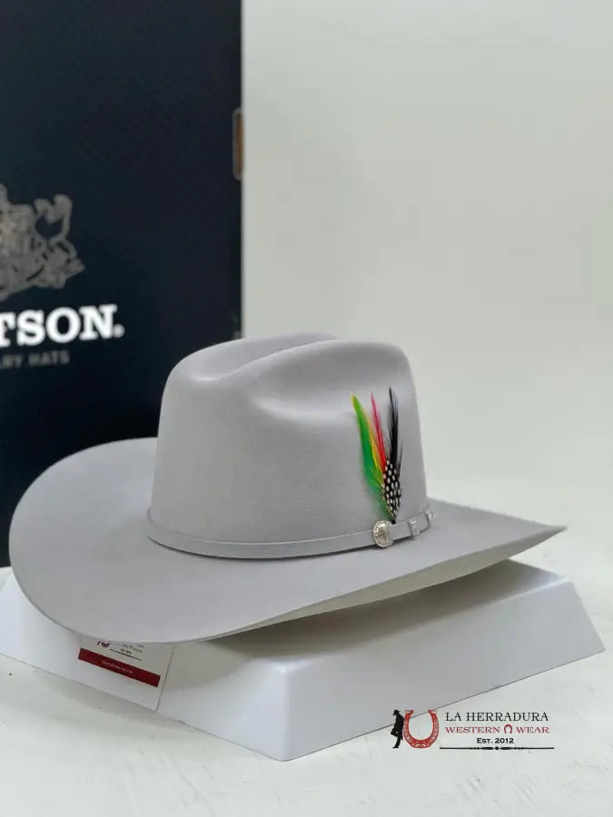 Stetson Cowboy Hat Shasta 10X Mist Grey Tejana