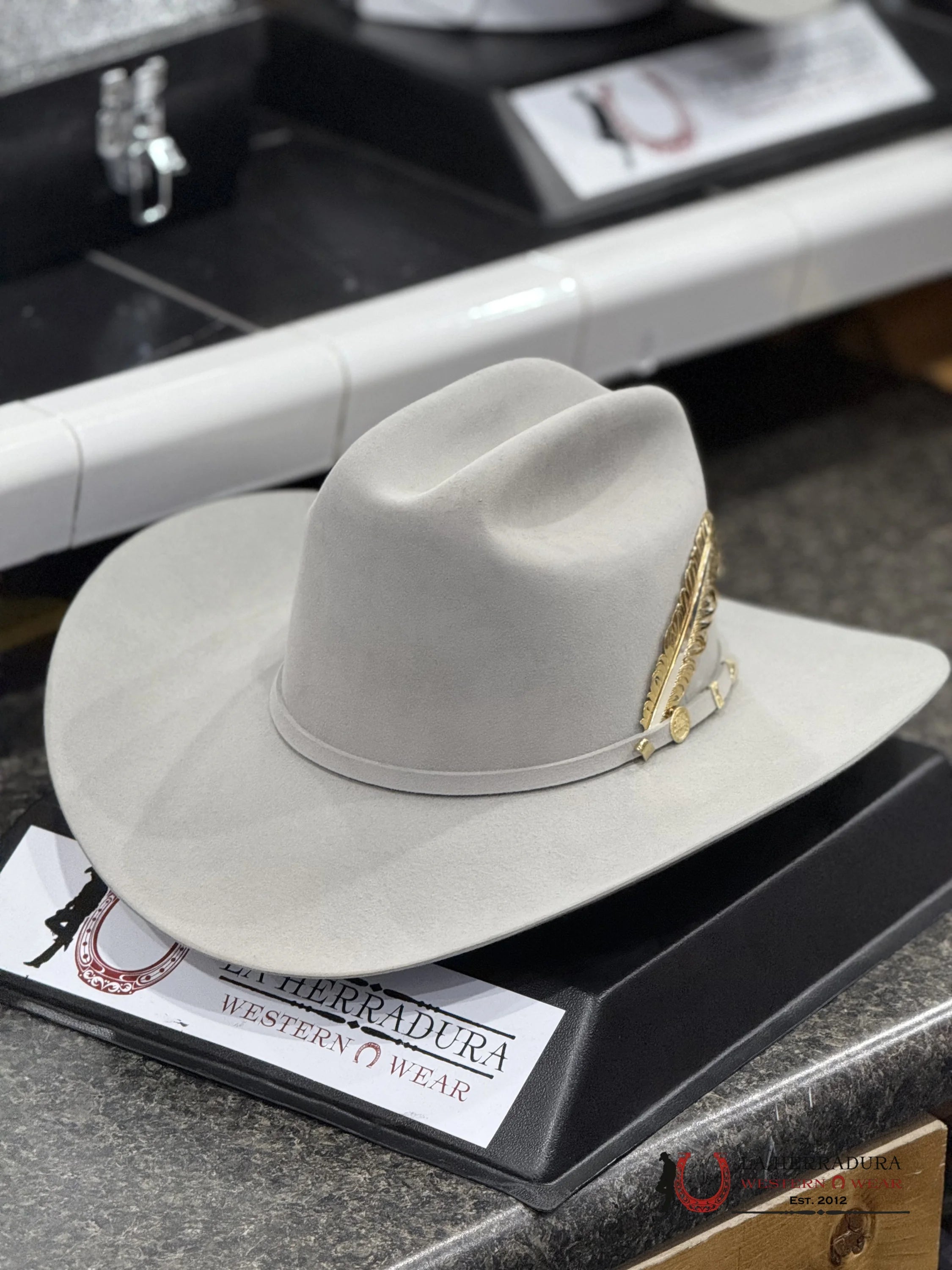 Stetson Cowboy Hat 100X El Presidente Mist Grey Copa Chica Tejana