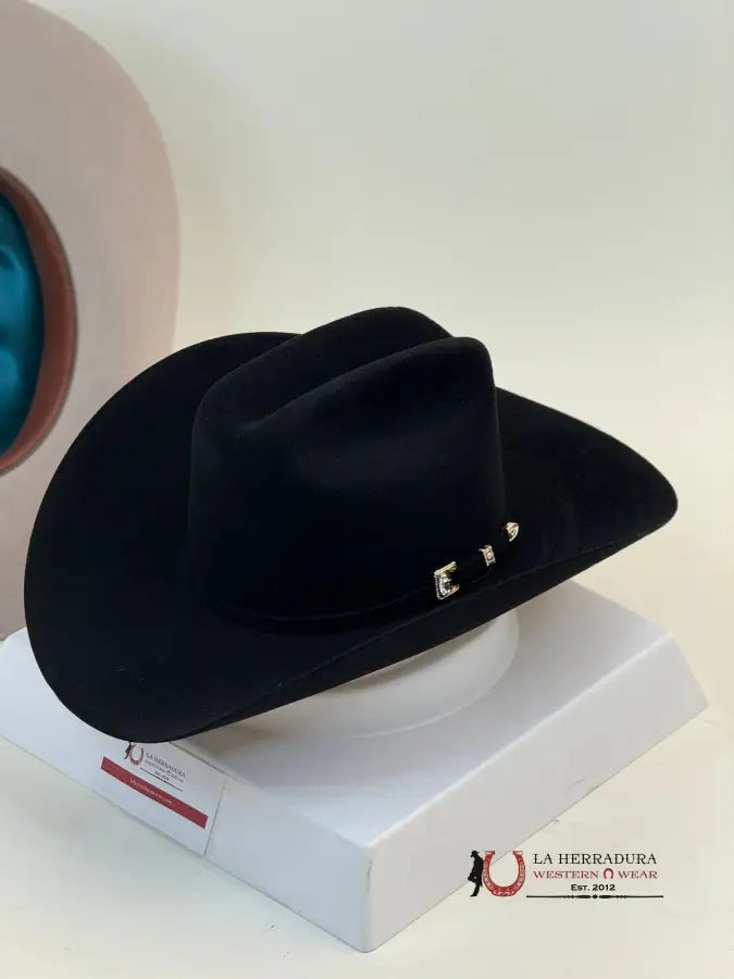 Stetson Guadalupana 6X Negro Tejana