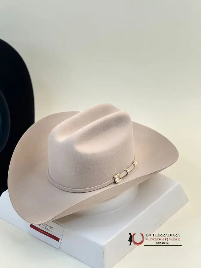 Stetson Guadalupana 6X Silver Belly Tejana