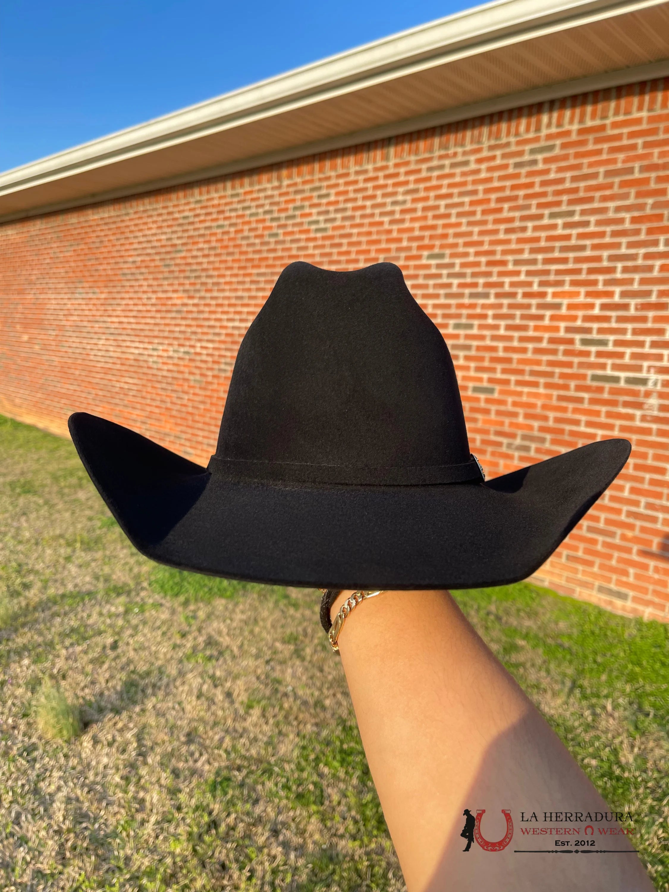 Stetson 200X La Corona Black Tejana