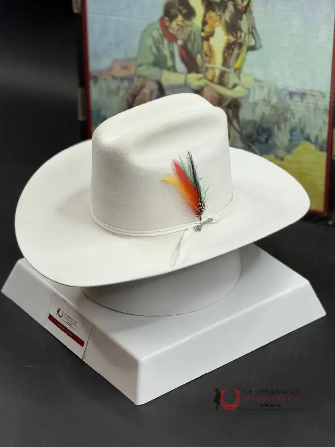 Stetson Rancher 6X White Tejana