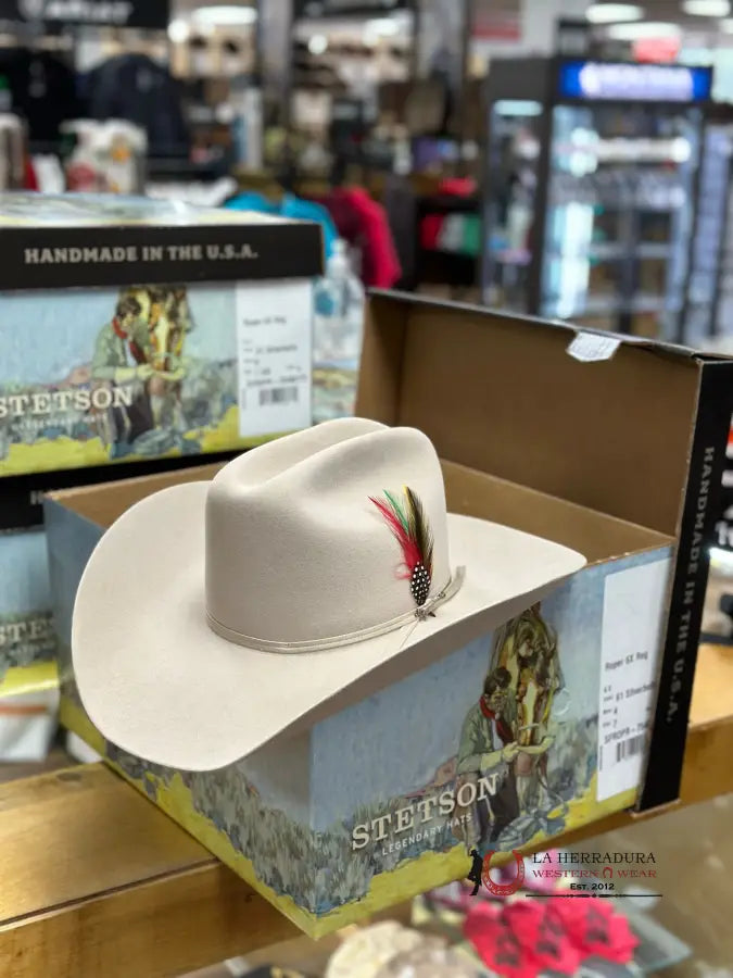 Stetson Roper 6X Silverbelly Tejana