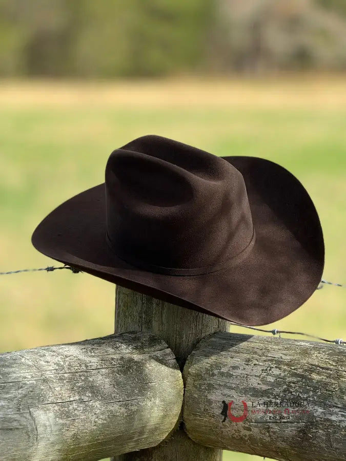 Stetson Skyline 6X Chocolate Tejana