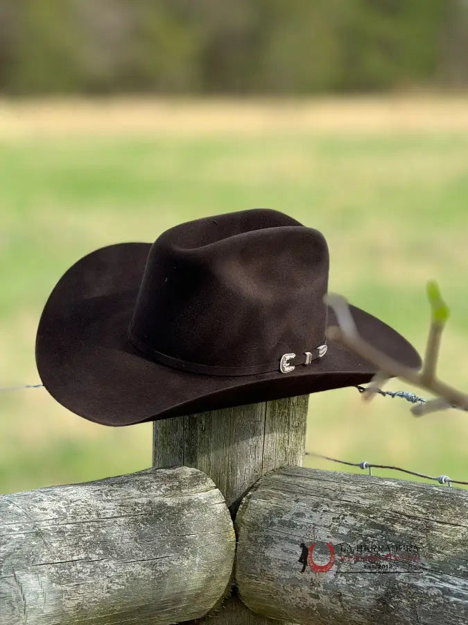 Stetson Skyline 6X Chocolate Tejana