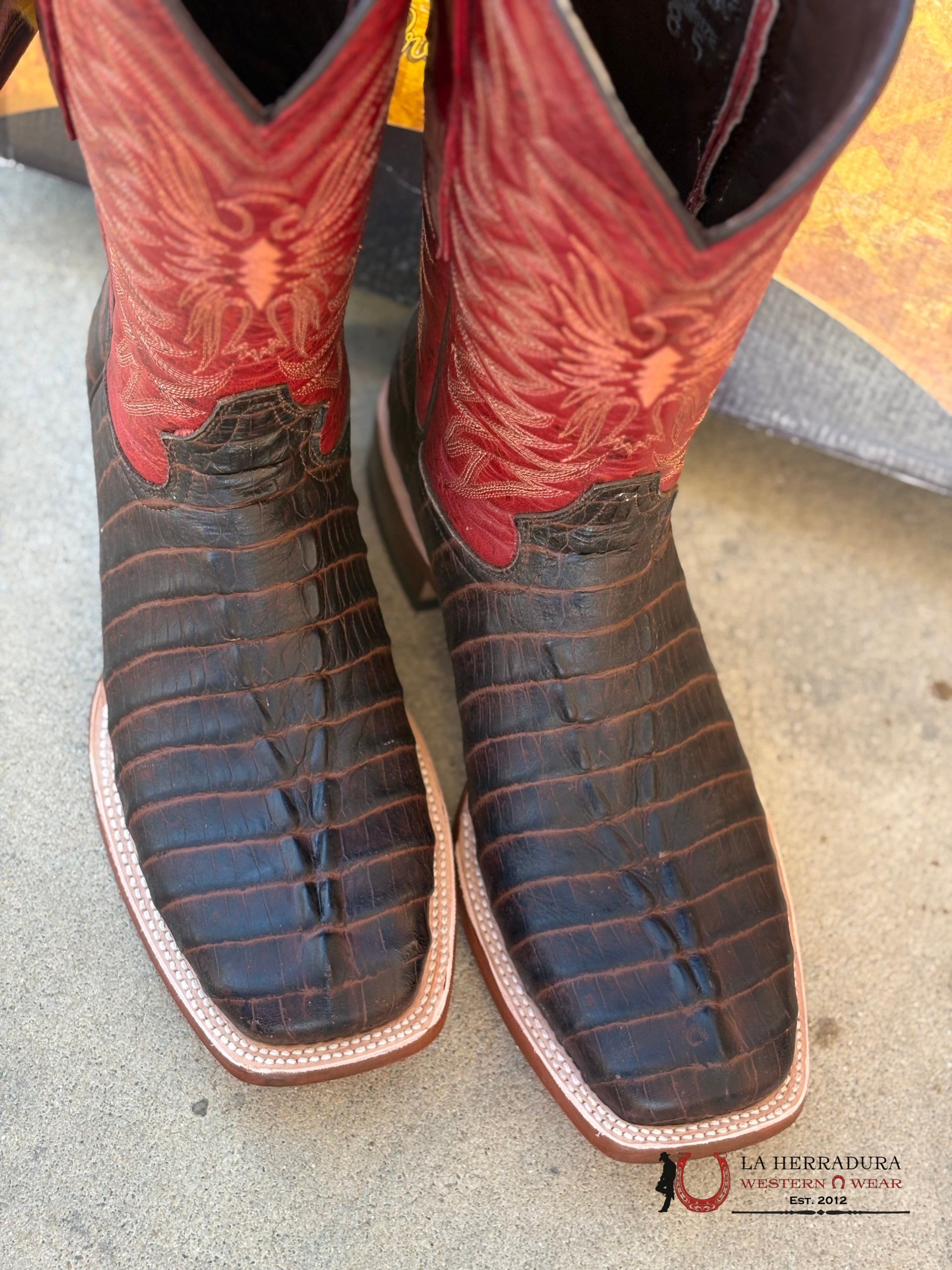 TANNER MARK MENS PRINT CAIMAN TAIL MATTEE BROWN FANGO RED TOP- 5538 BOTAS HOMBRES