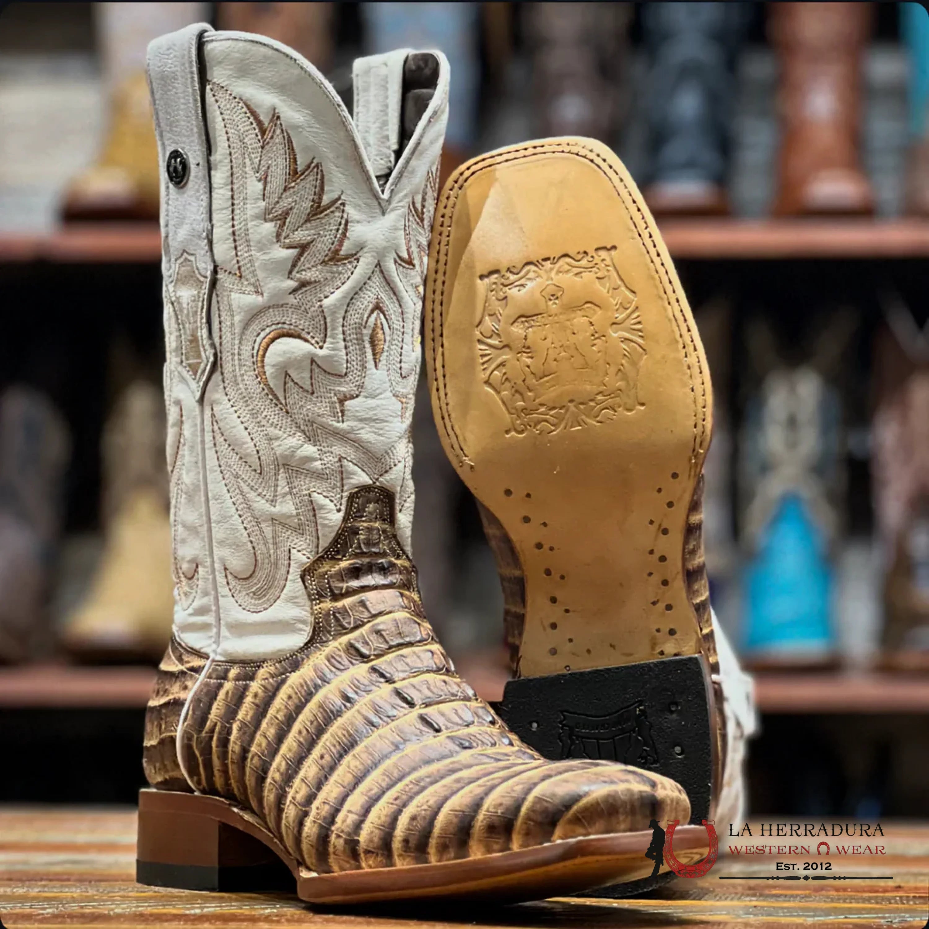 TANNER MARK MEN’S PRINT CAIMAN TAIL SQUARE TOE BOOTS ORIX TM205572 BOTAS HOMBRES