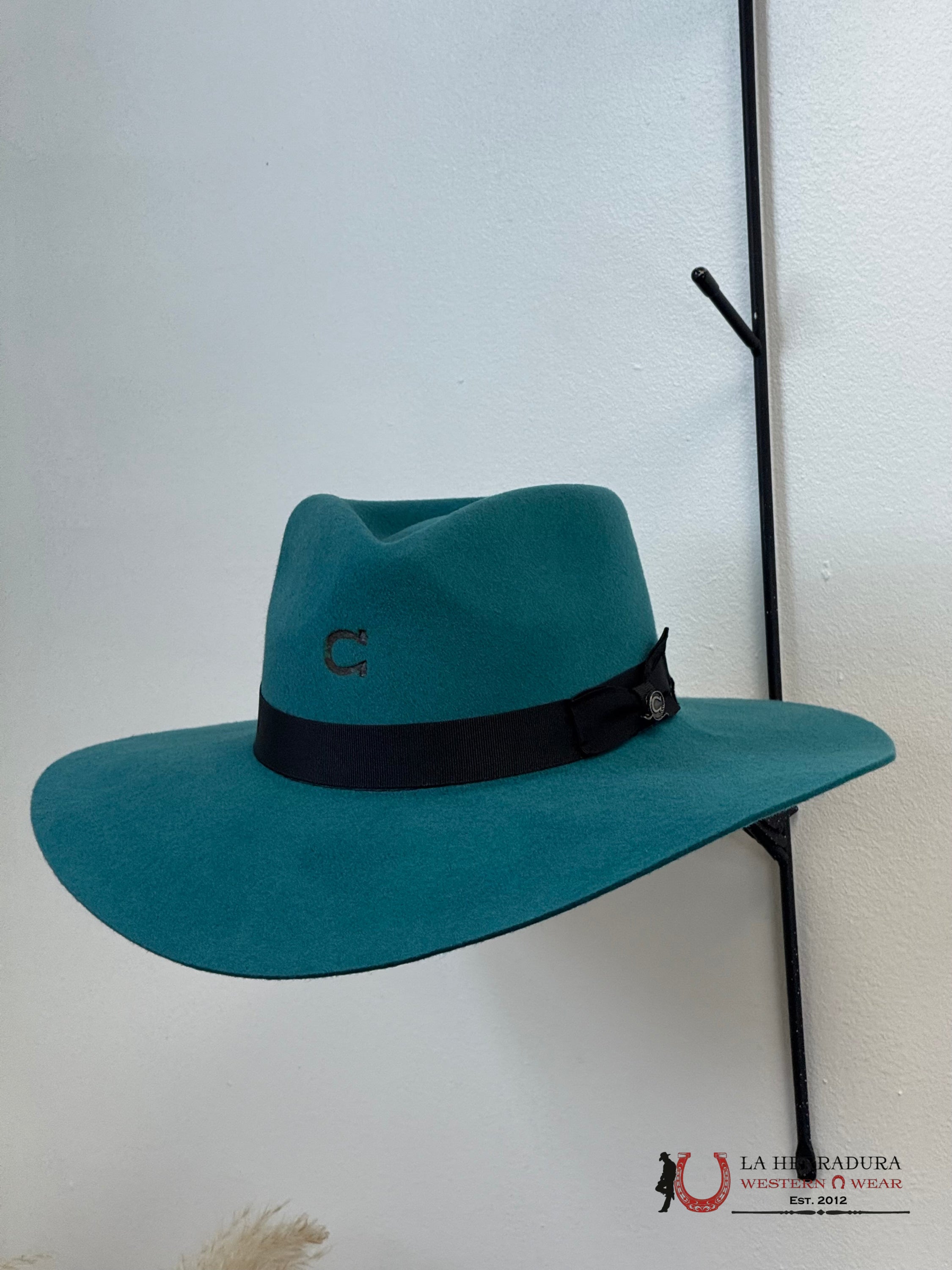 TEXANA TEAL CHARLIE HORSE HIGHWAY TEXANAS MUJERES