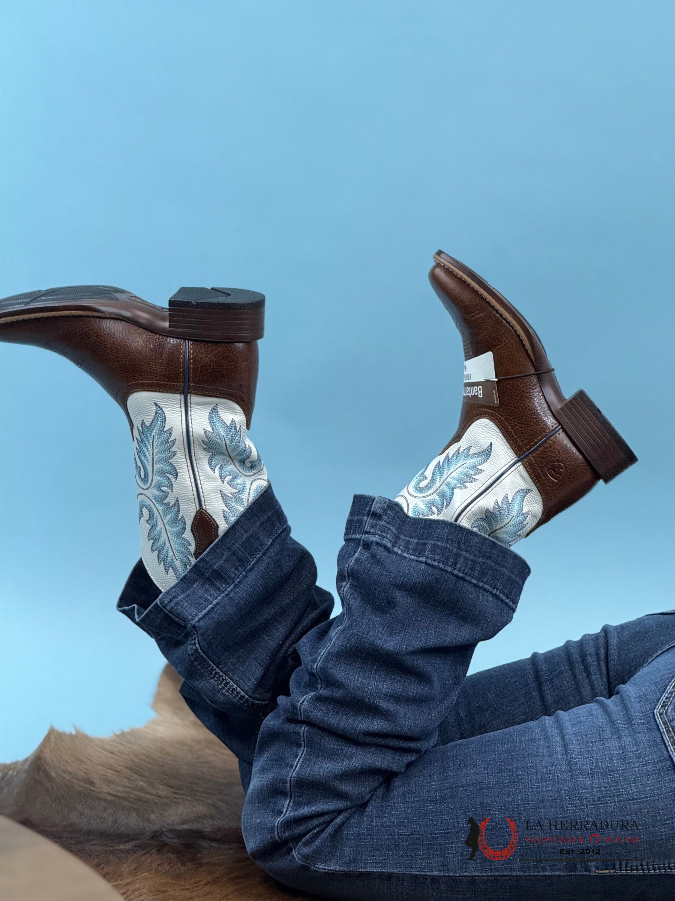 Womens Ariat Canyon Point Gingersnap White Square Toe Boots Botas Mujeres