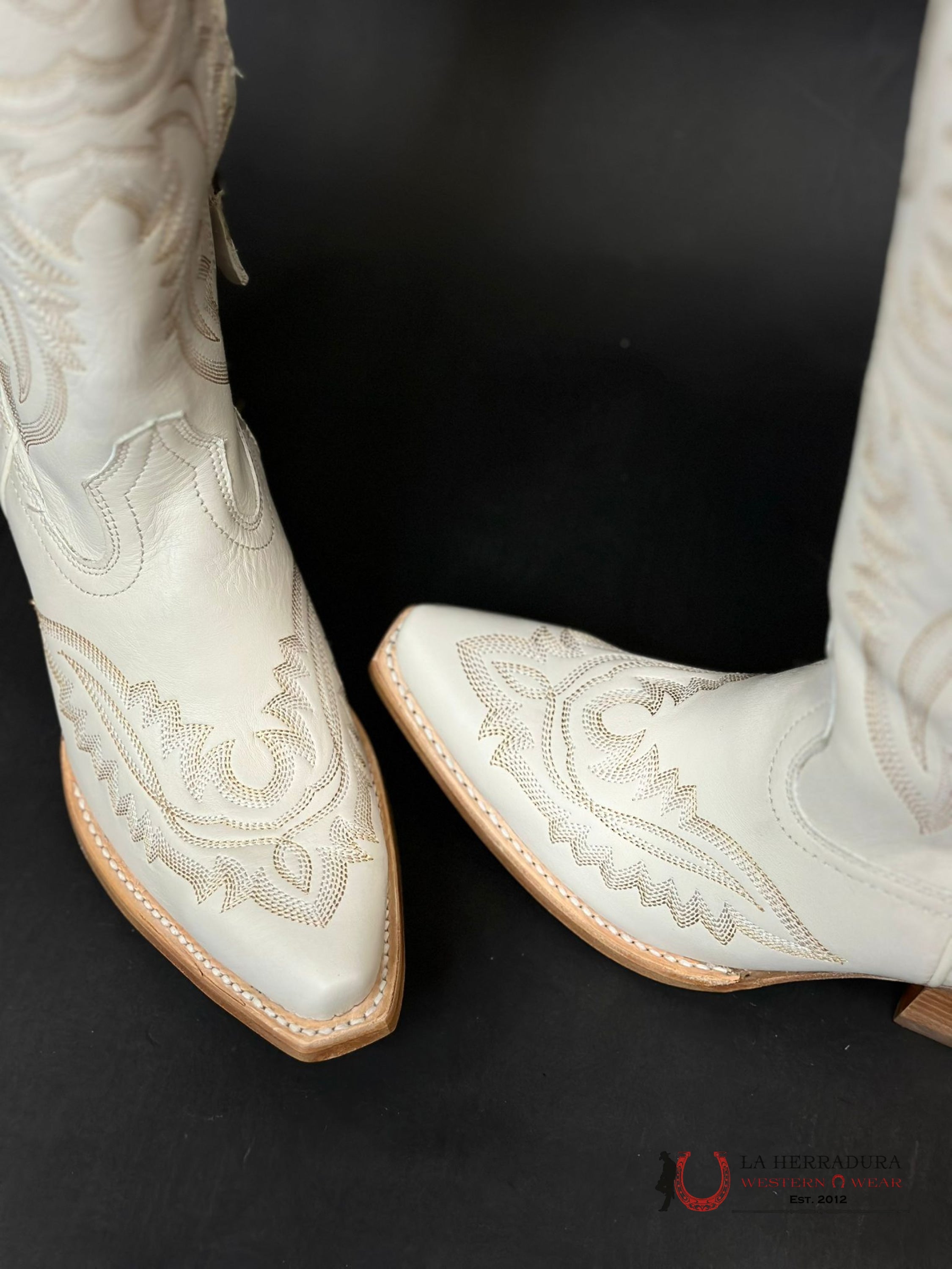 WOMENS ARIAT CASANOVA BLANCO TALL BOOT 10043268