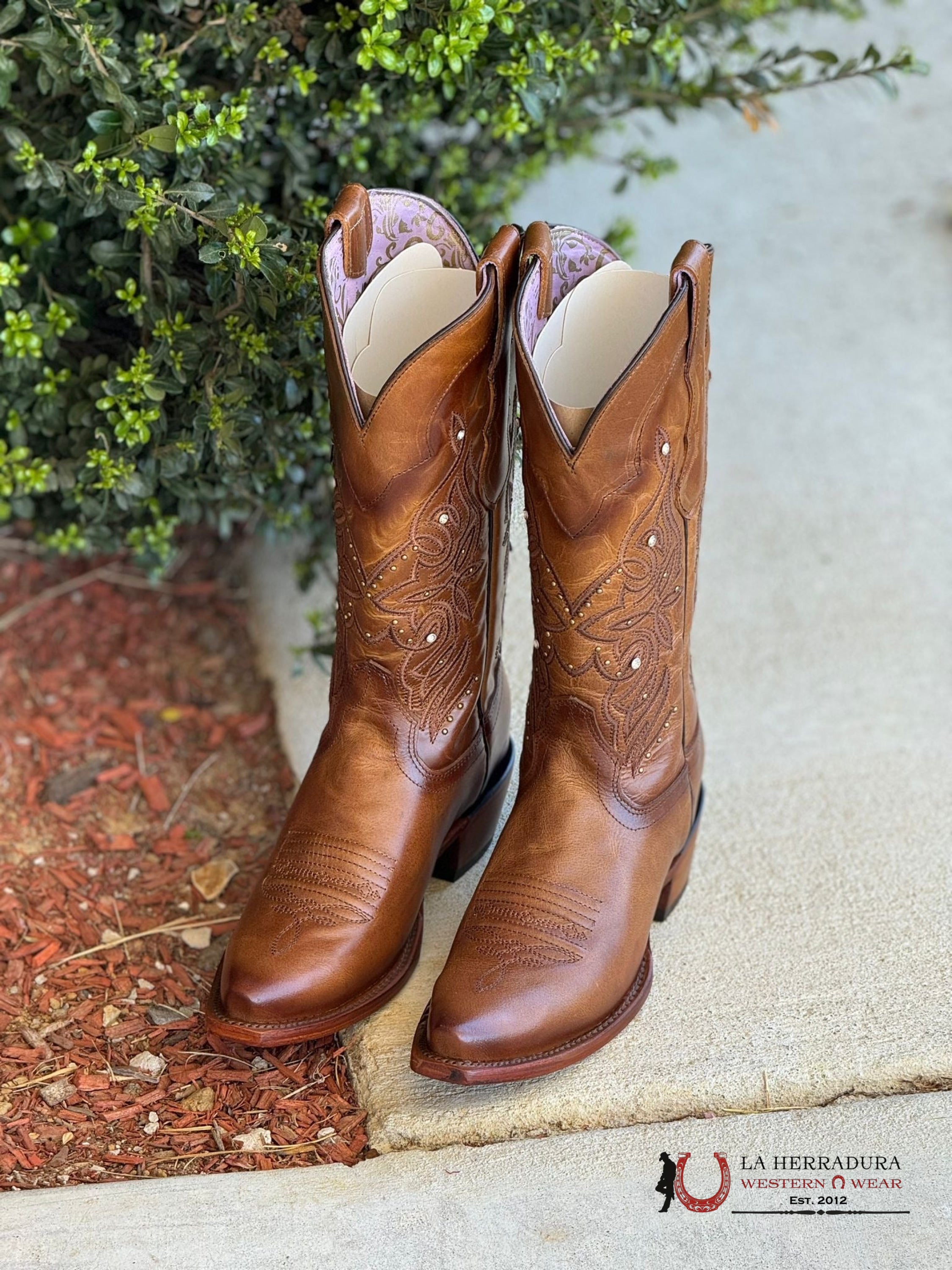 Womens Lucido Miel Snip Toe Botas Mujeres