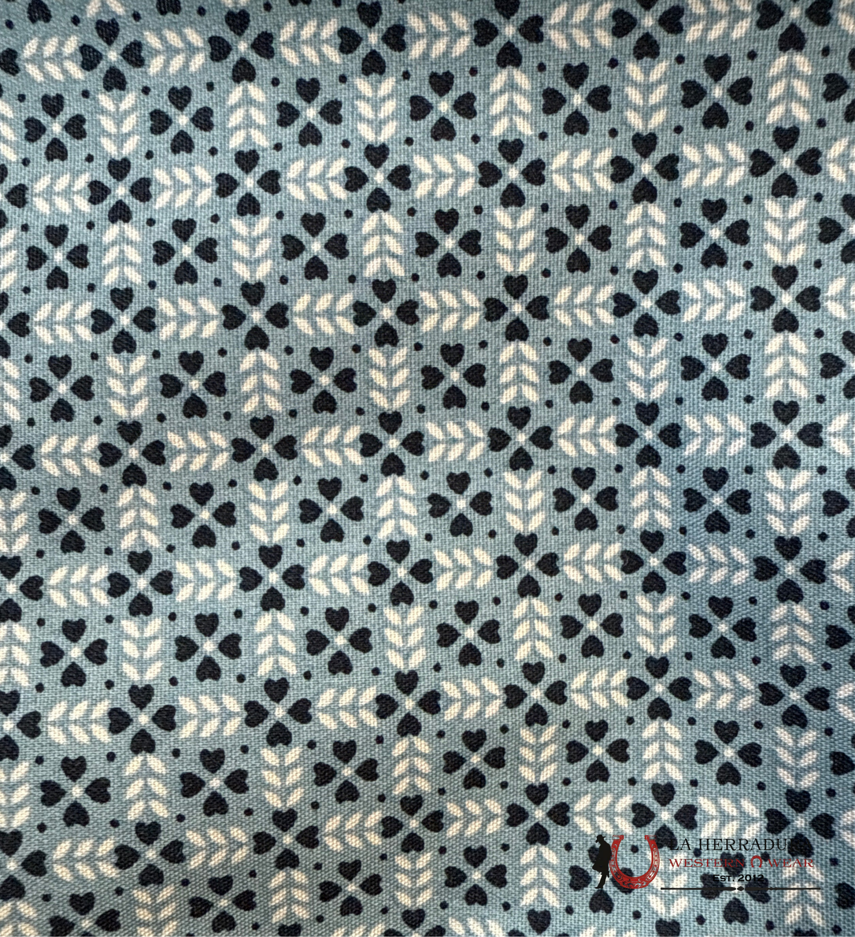 Wrangler Blue With Western Print Long Sleeve Boys 112344423 NIÑOS